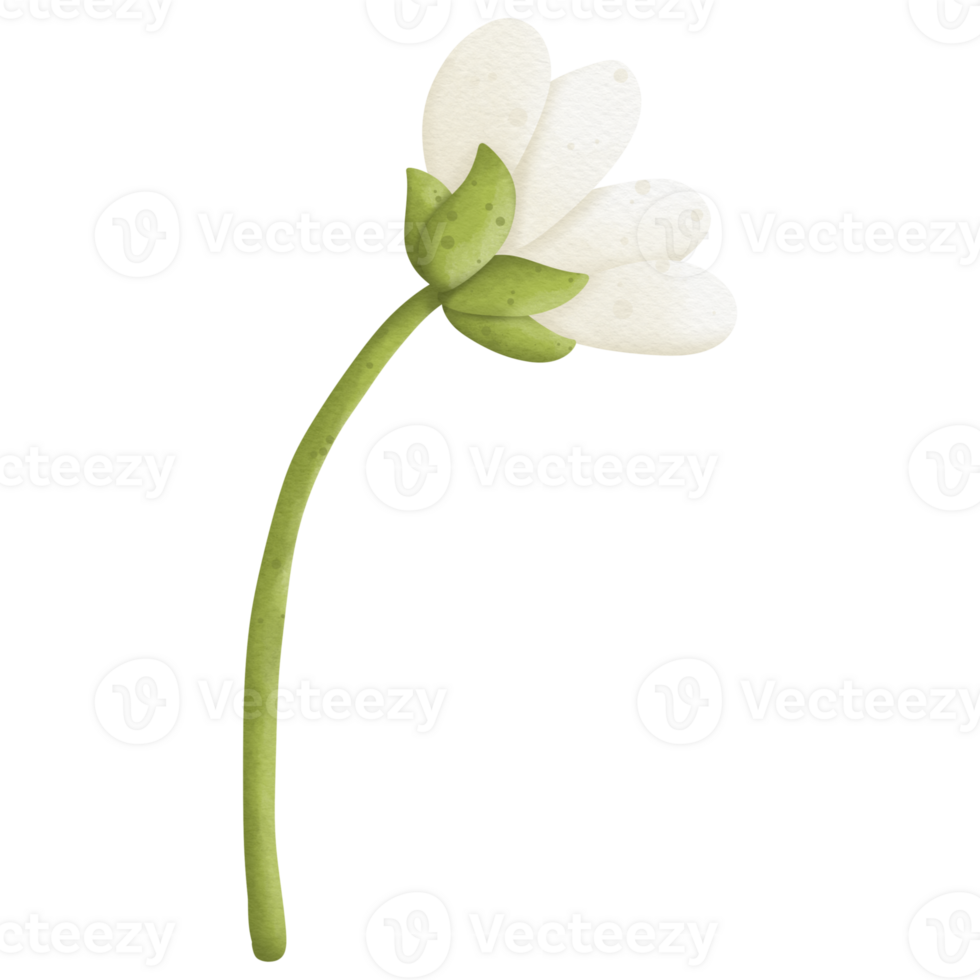 flower watercolor clip art so cute png
