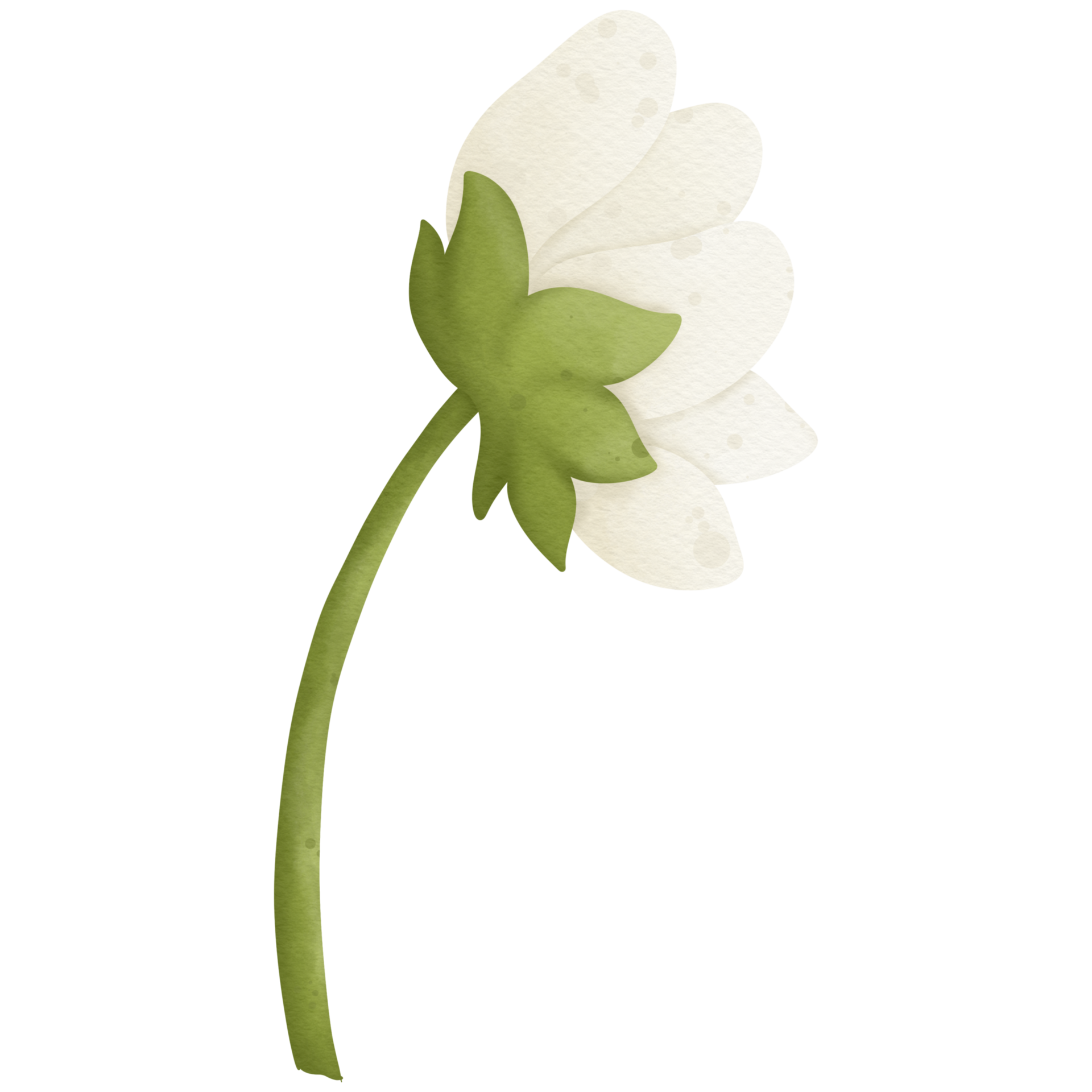 flower watercolor clip art so cute 45546345 PNG