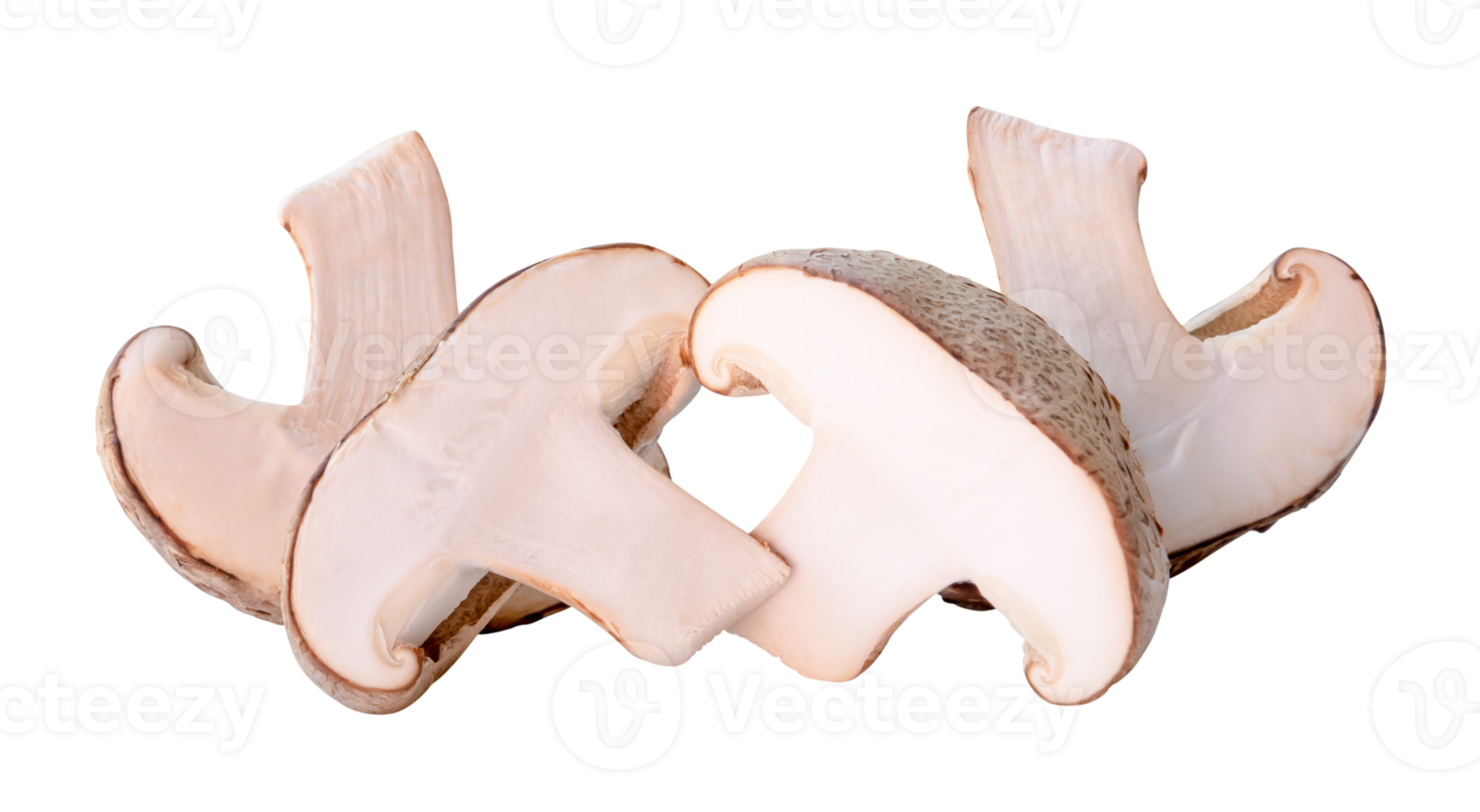 Front view of shiitake mushroom in halves in stack isolated with clipping path in file format. png