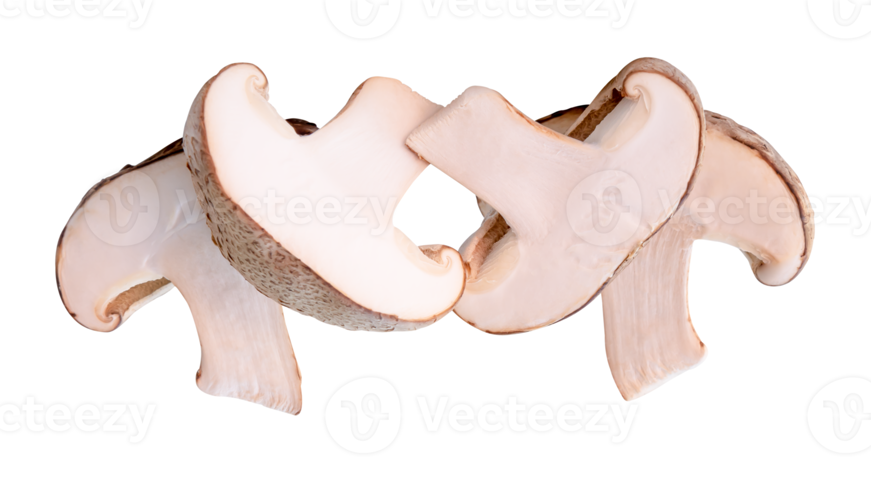 Front view of shiitake mushroom in halves in stack isolated with clipping path in file format png