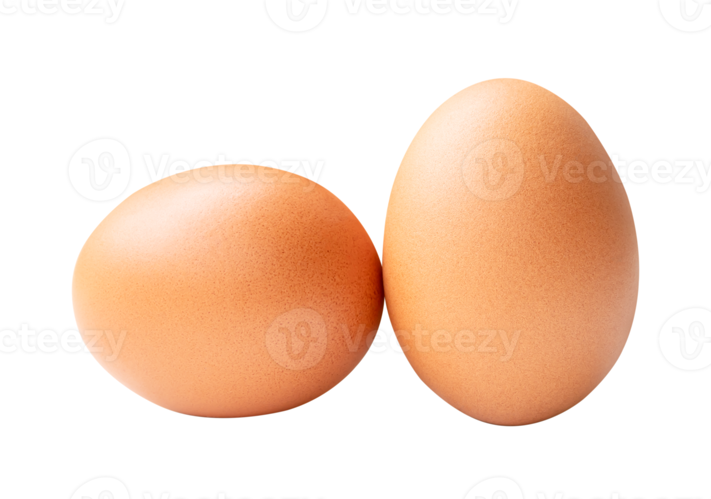 Front view of two brown chicken eggs isolated with clipping path in file format png