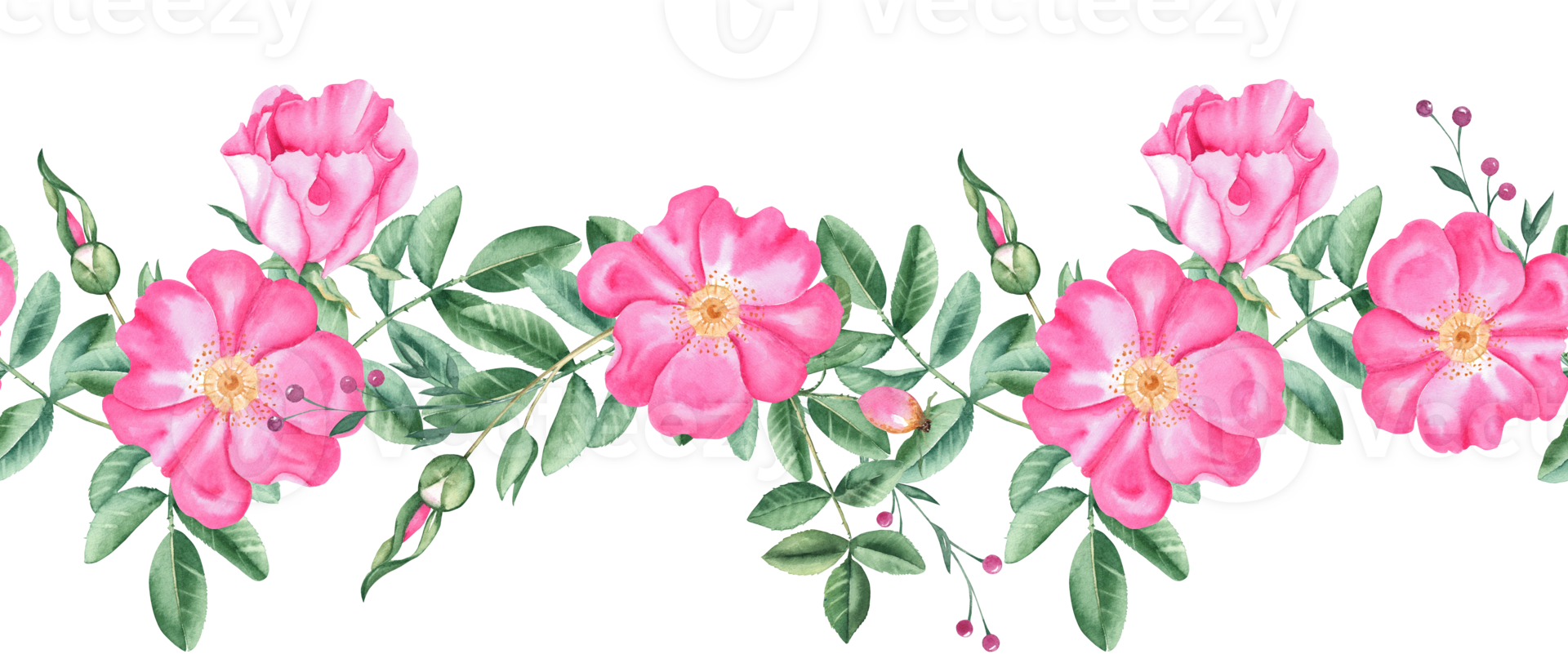 roos heup horizontaal waterverf naadloos grens patroon. hand- getrokken botanisch illustratie. hond roos bloemen, knoppen, takken en bessen. kan worden gebruikt voor kleding stof, textiel, verpakking prints png