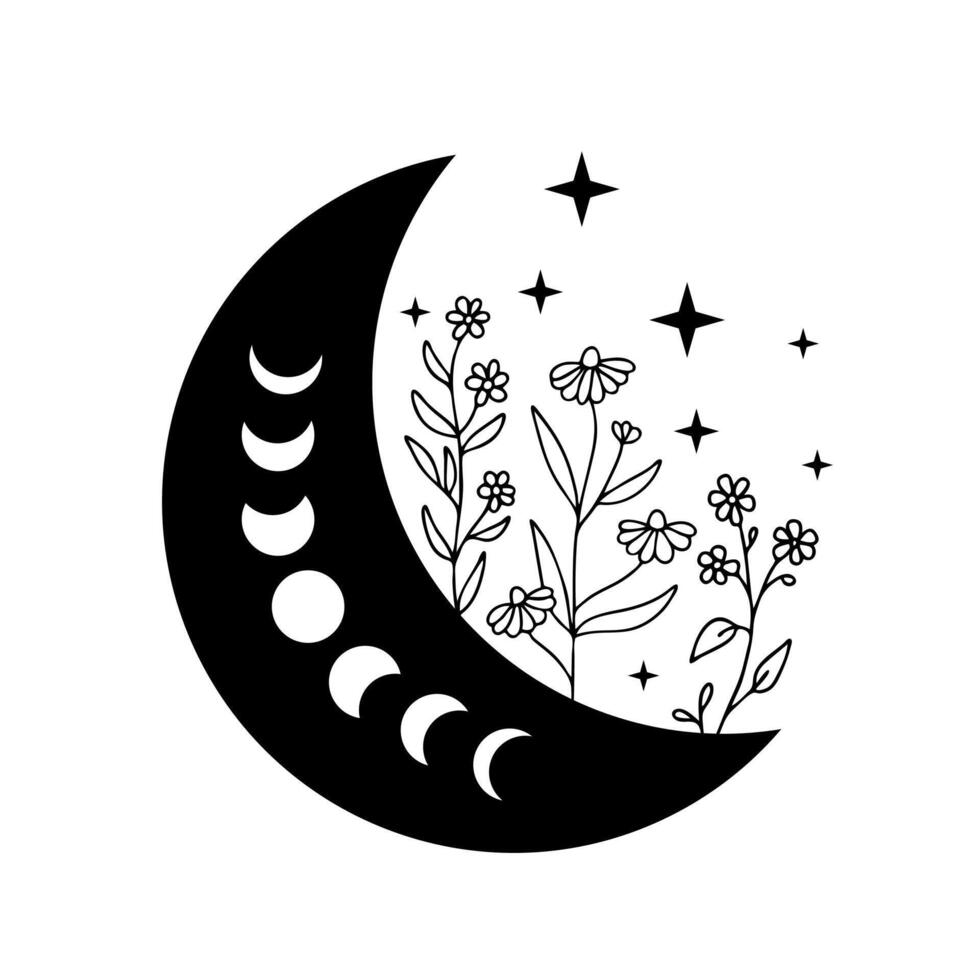 crescent moon with moon phases and wild flowers and stars vector