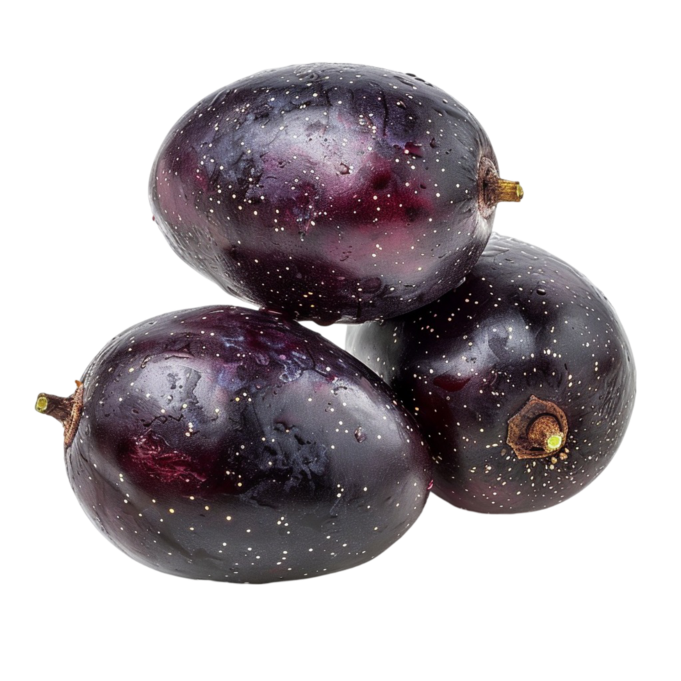Syzygium cumini commonly known as Malabar plum Java png