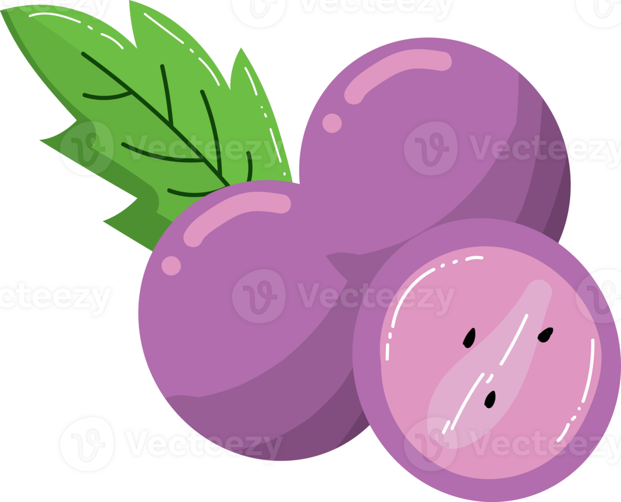 Fresh Grape Fruits png