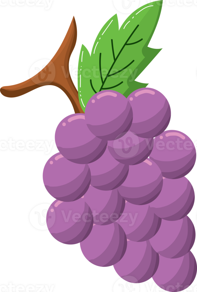 Bunch of purple grapes with stem and leaf png