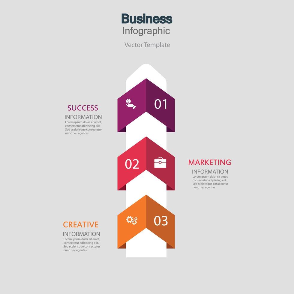 infographics, graphs. presentation. Business concept, chart, steps, process. Infographic data visualization. Startup template. vector