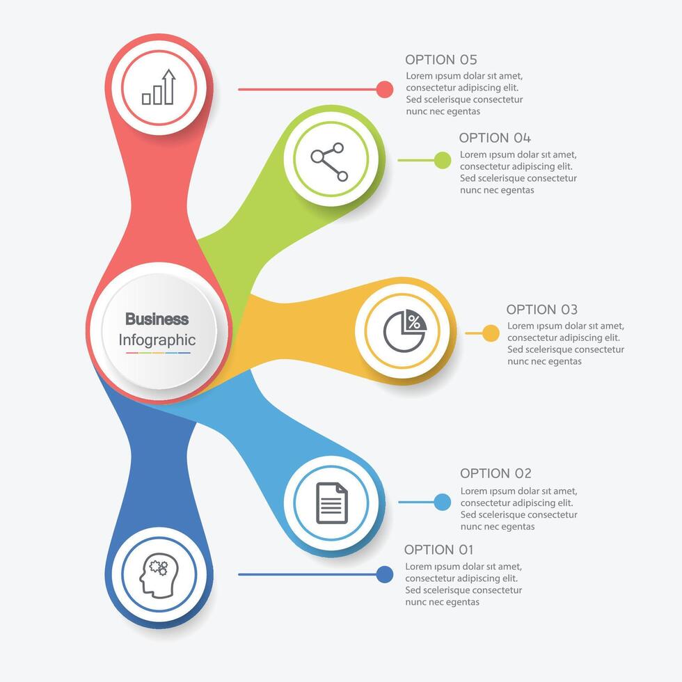 infographics, graphs. presentation. Business concept, chart, steps, process. Infographic data visualization. Startup template. vector