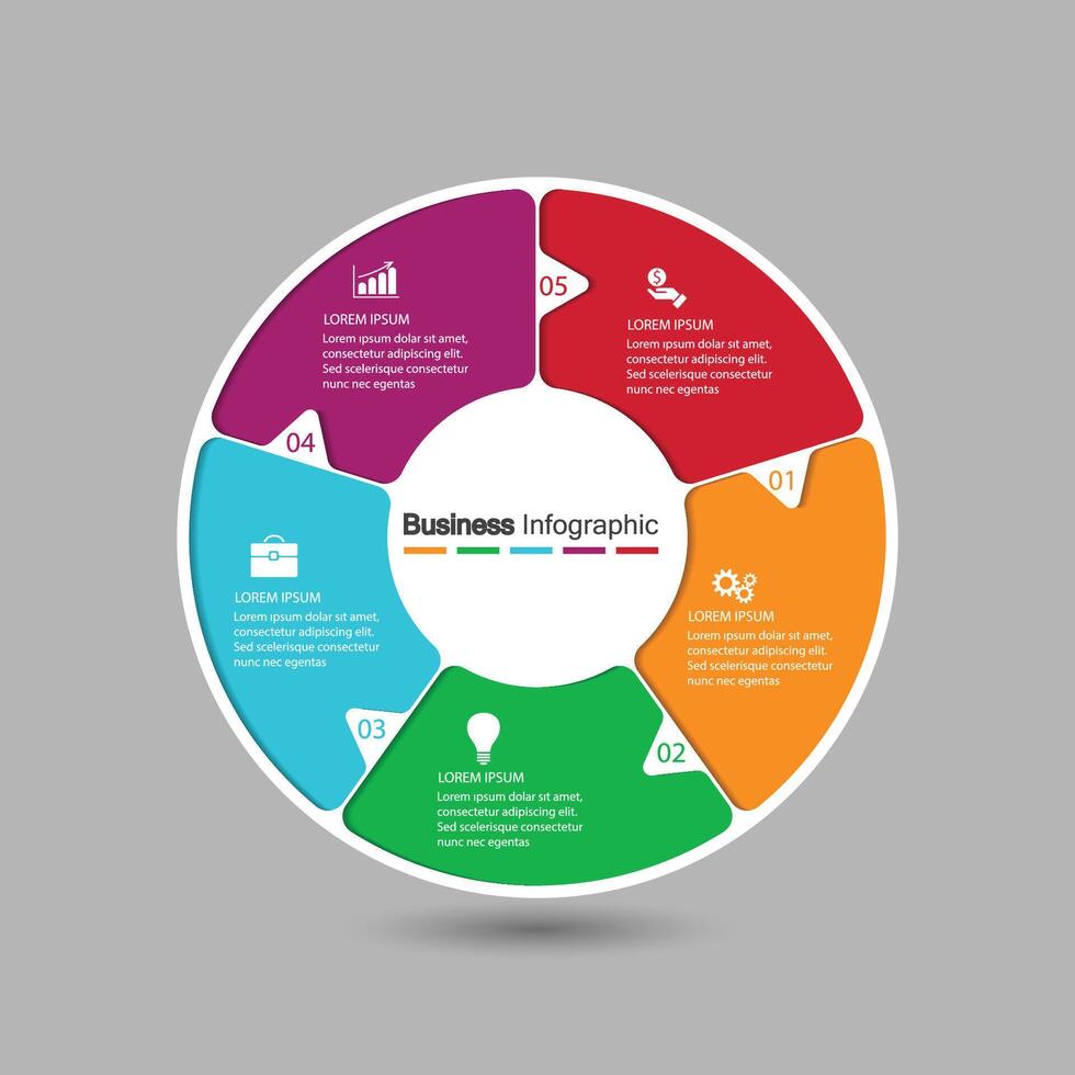 infographics, graphs. presentation. Business concept, chart, steps, process. Infographic data visualization. Startup template. vector