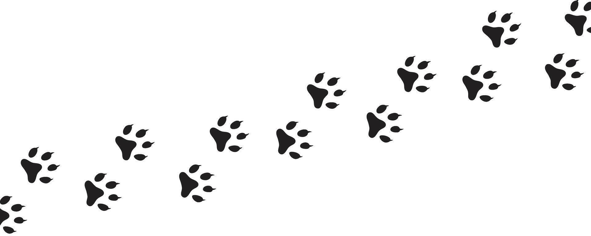 Dog or cat paw print set. Paw foot trail print of animal. vector