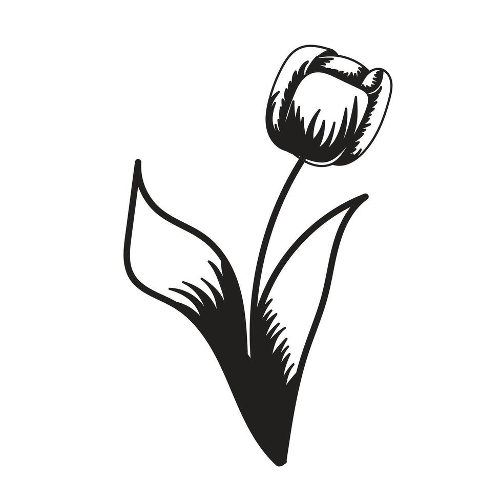 Tulip flower. Black and white silhouette of a tulip. A simple hand drawn icon. illustration on white background. vector