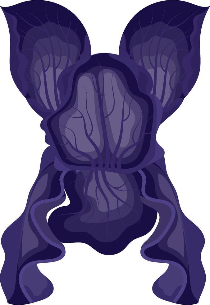 Iris flower purple. illustration on white background. vector