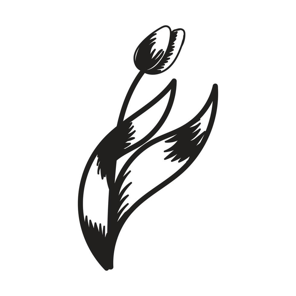 Tulip flower. Black and white silhouette of a tulip. A simple hand drawn icon. illustration on white background. vector