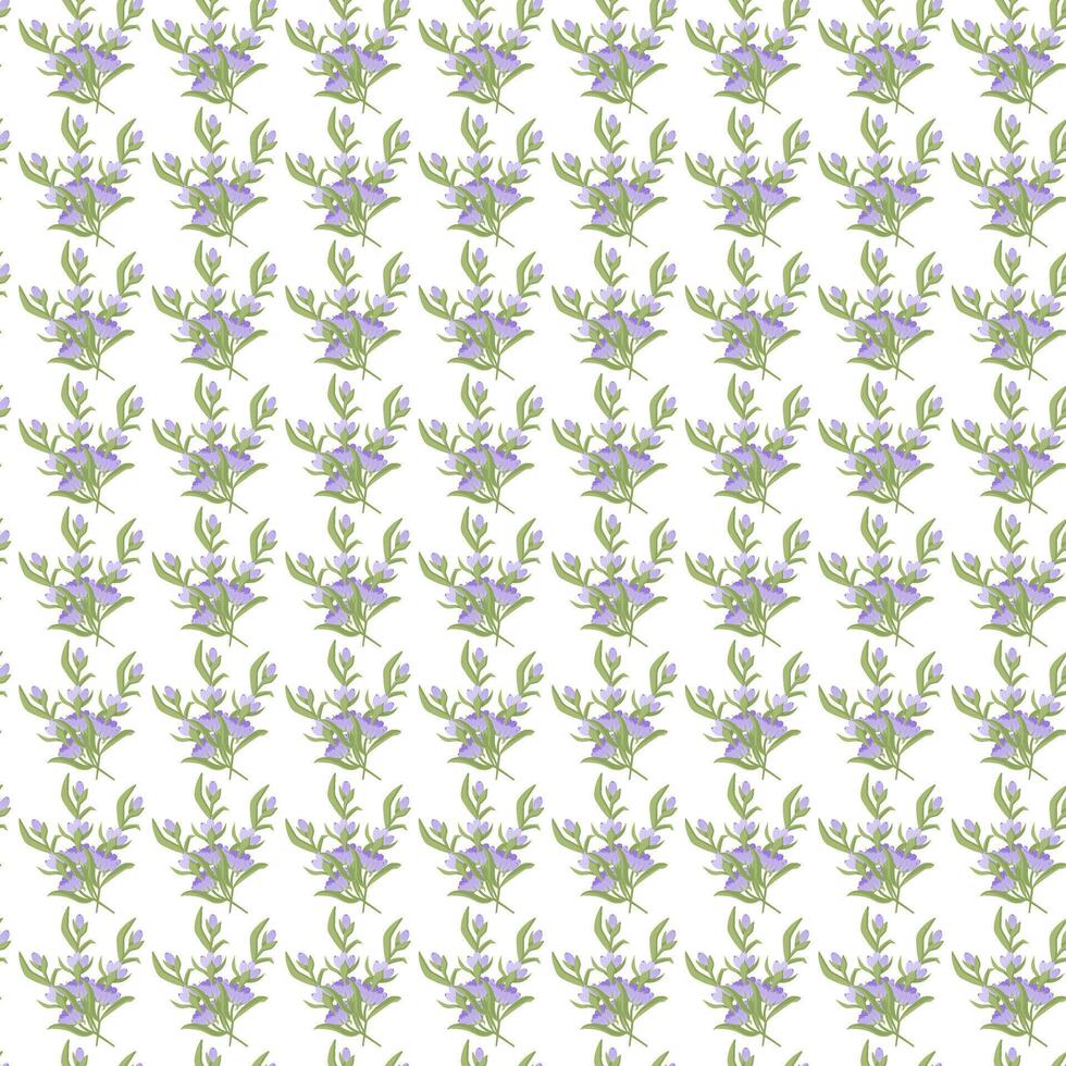 A sprig of lavender. Purple flower. Seamless pattern. illustration. vector