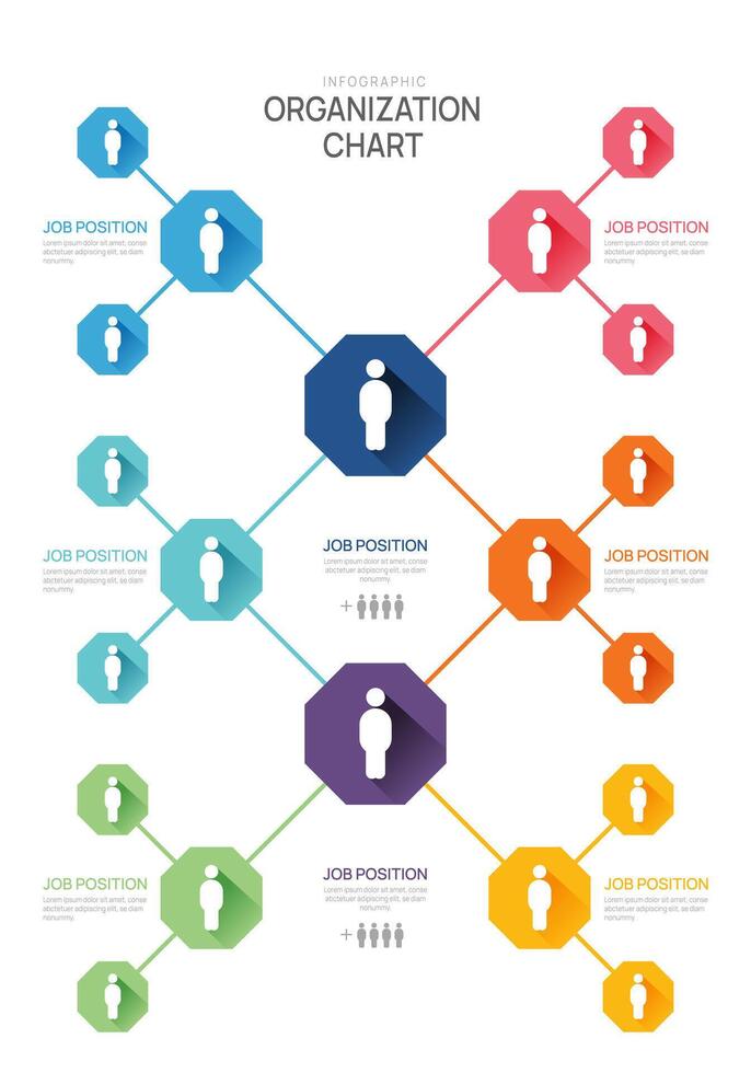 Infographic template for organization chart with business avatar icons. infographic for business. vector