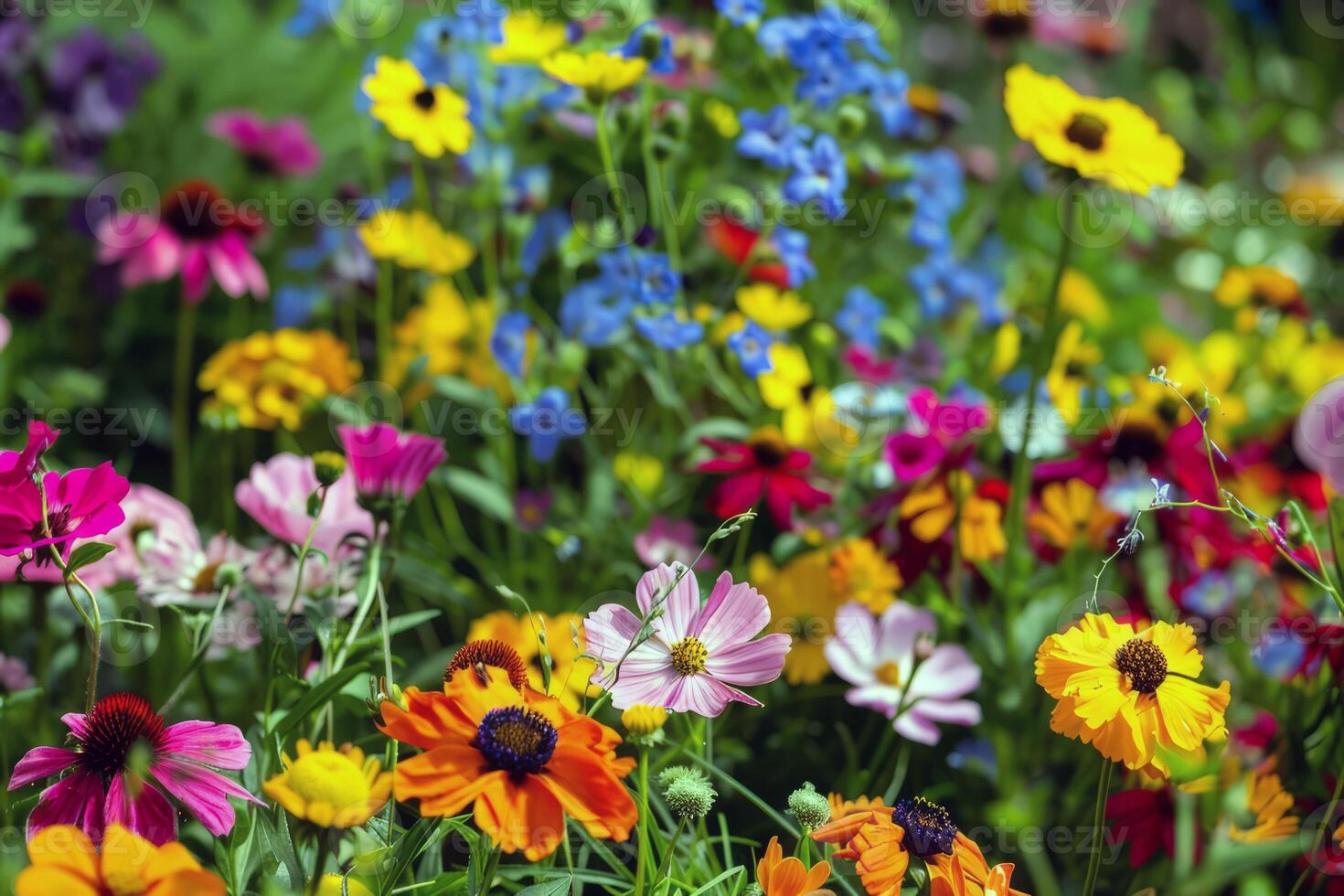 Vibrant flowers blooming in garden, soaking up the summer sunshine photo