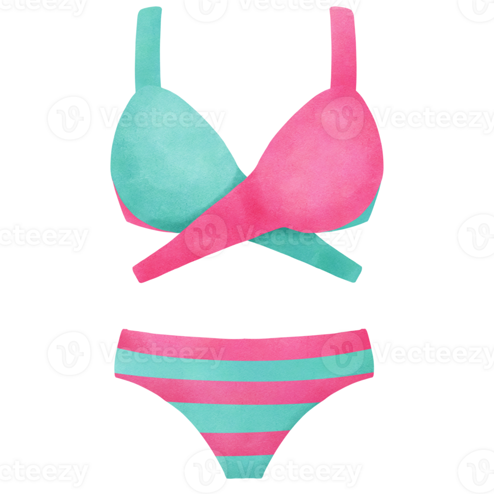 Summer two piece bikini swimsuit, pink green png