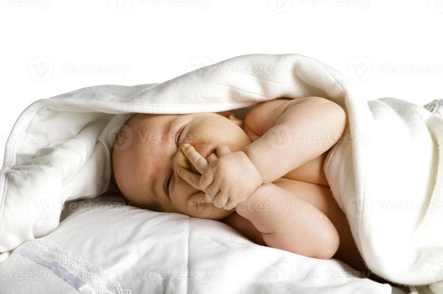 Stunning Studio Portrait of a Charming Young Boy photo