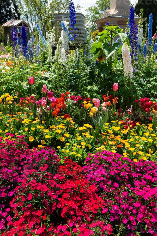 Flower Festival in Toowoomba, QLD, Australia. photo
