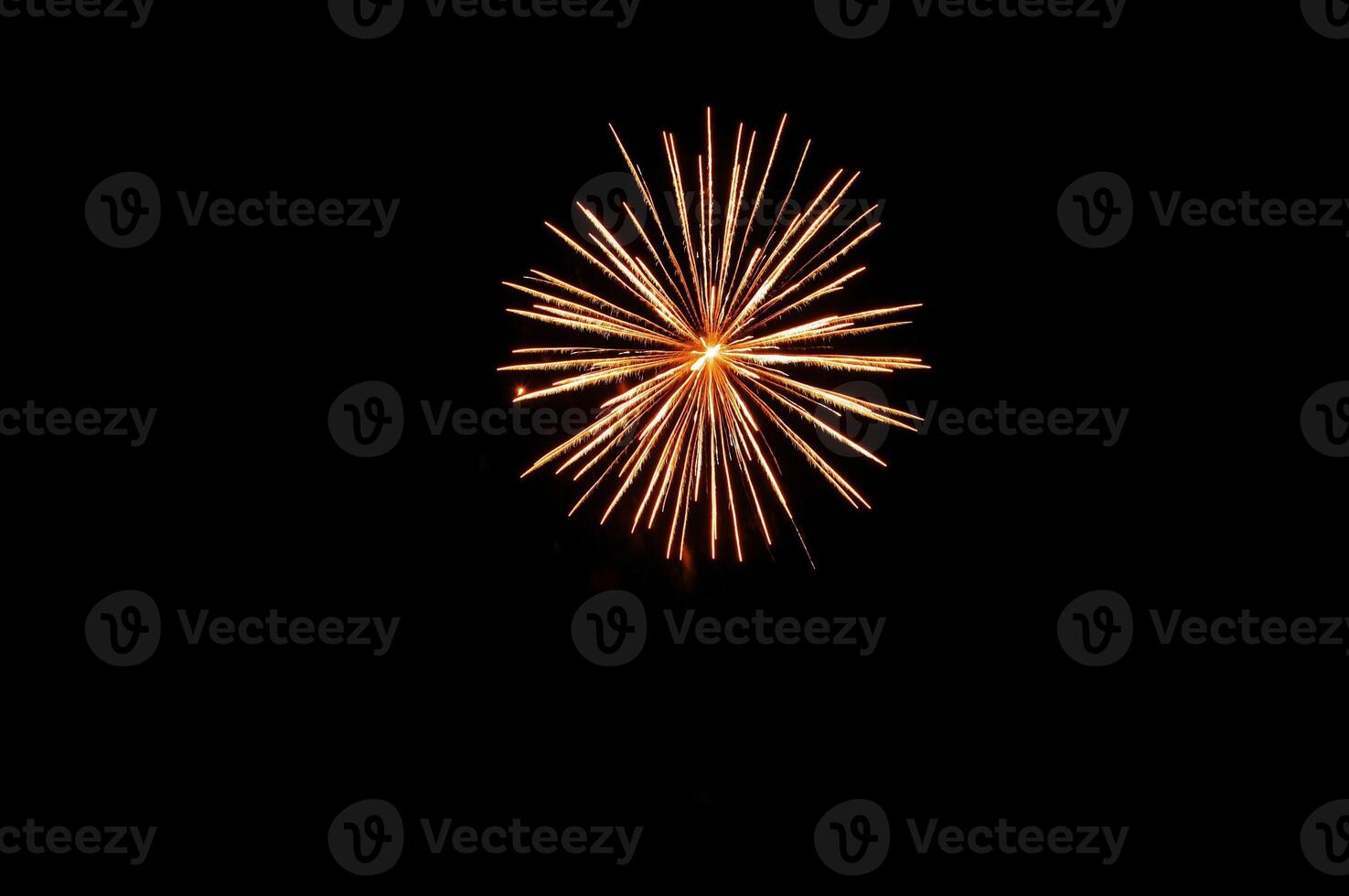 Fireworks in the night sky photo