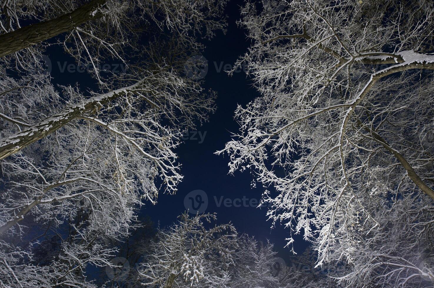 Winter city park photo
