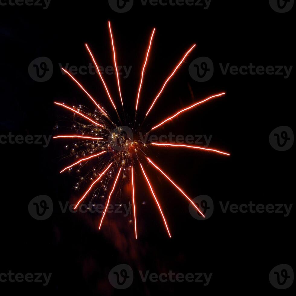 Fireworks in the night sky photo