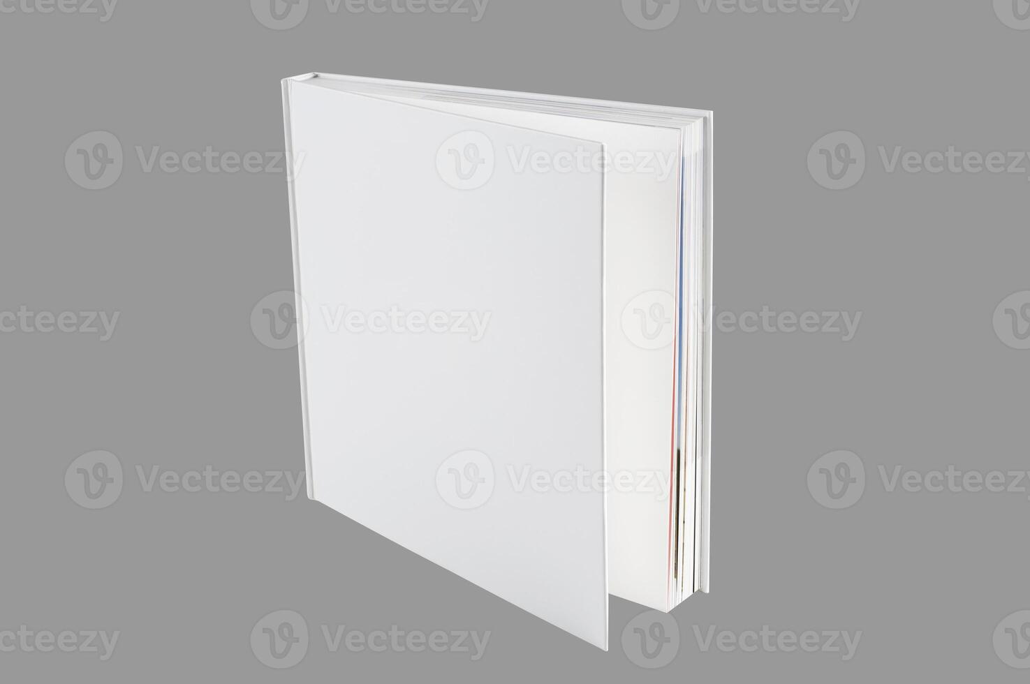 Mockup of the book photo