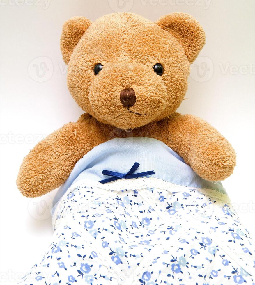 Teddy bear on a white background photo