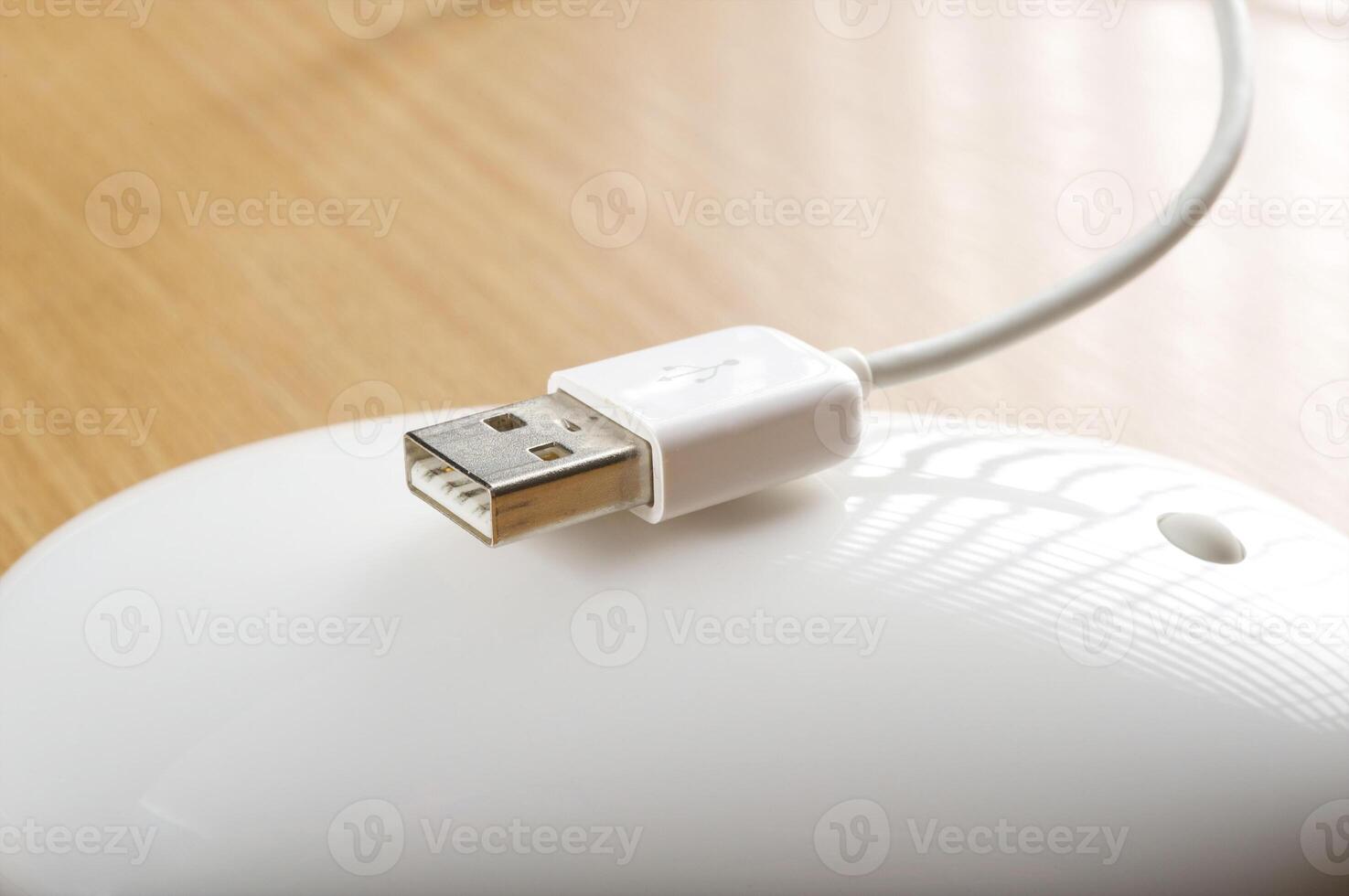 The white mouse for the computer. Usb connect. photo