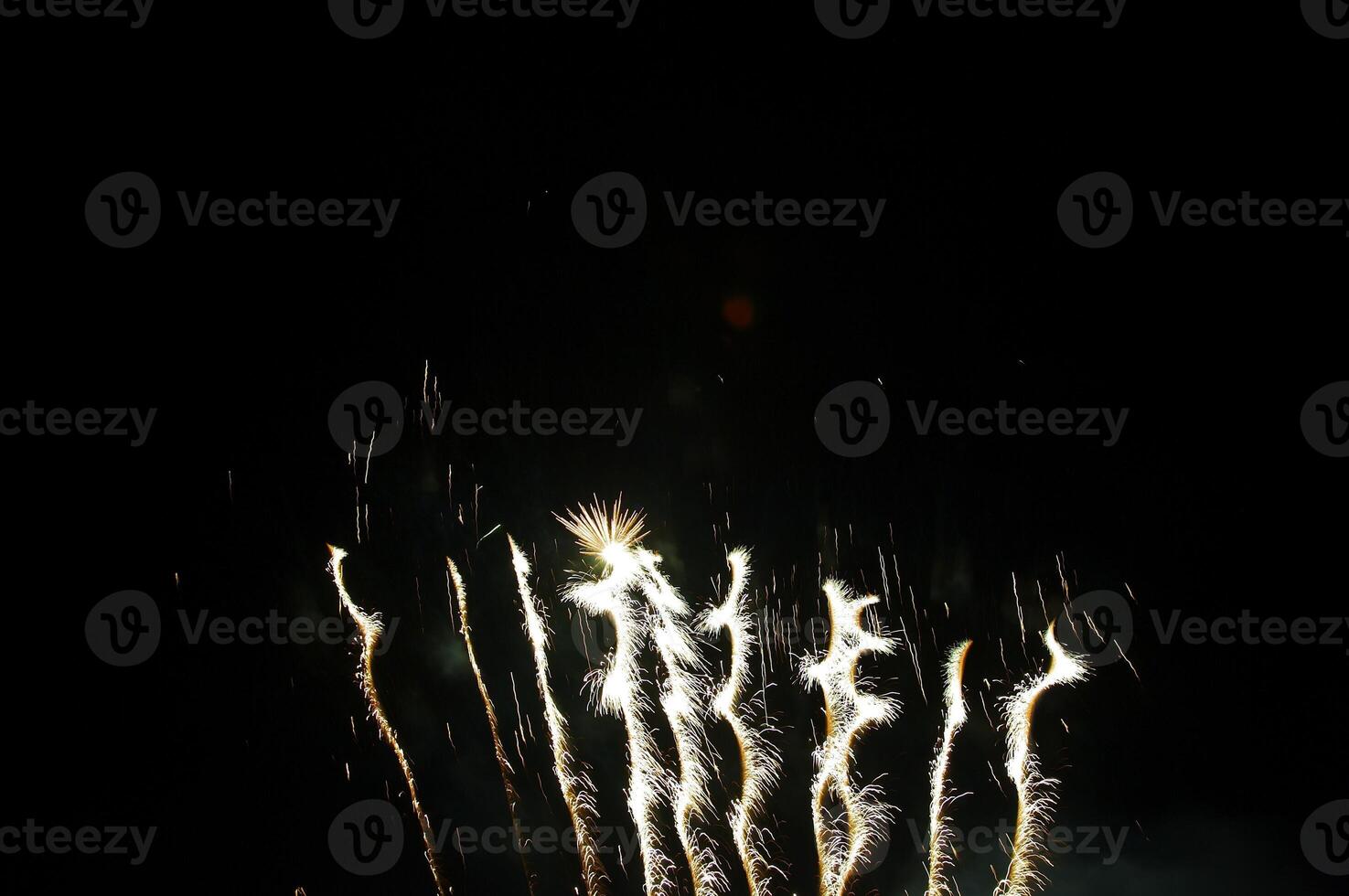 Fireworks in the night sky photo