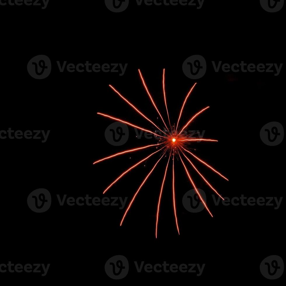 Fireworks in the night sky photo
