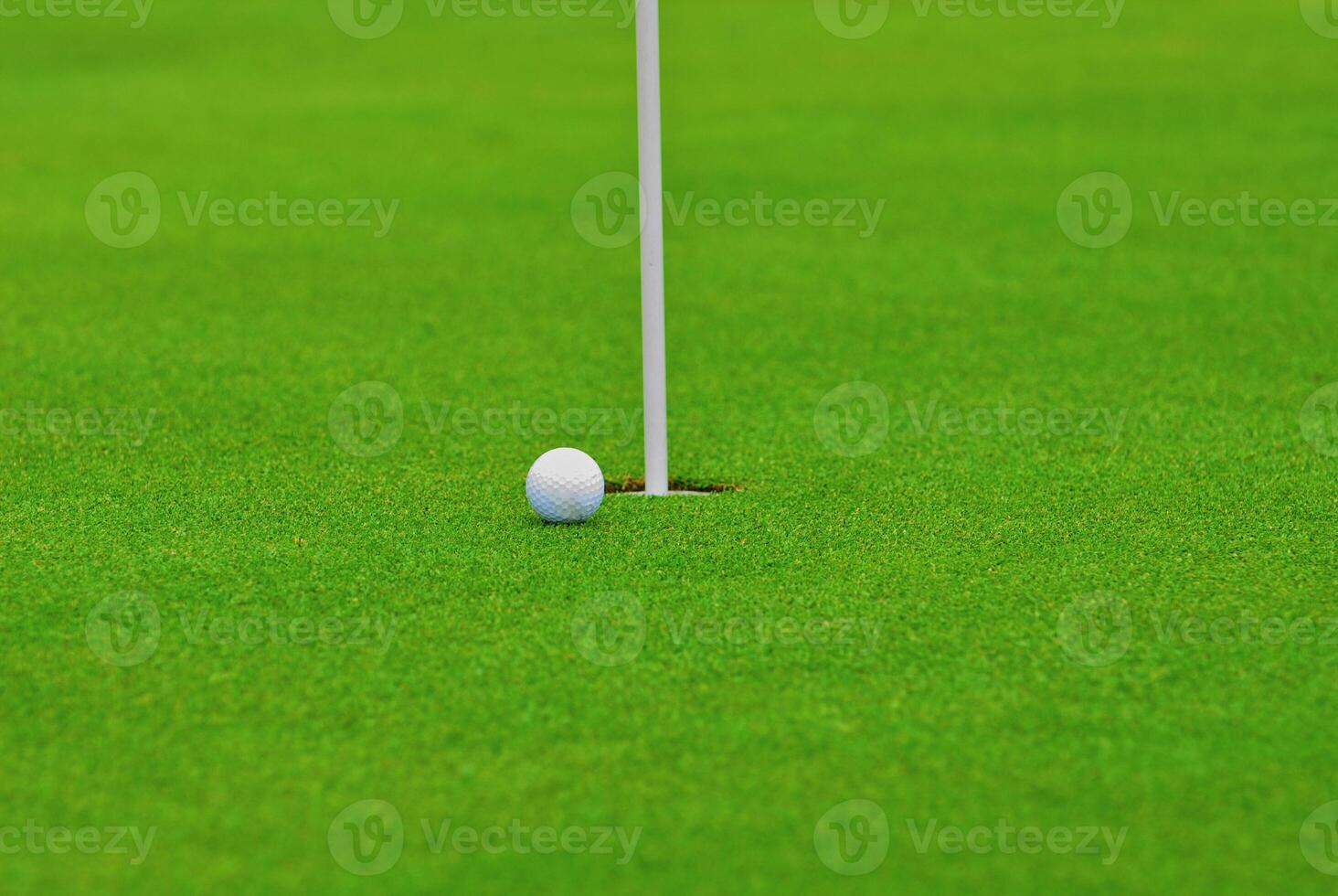 Game in the golf club against the background of the green juicy grass photo