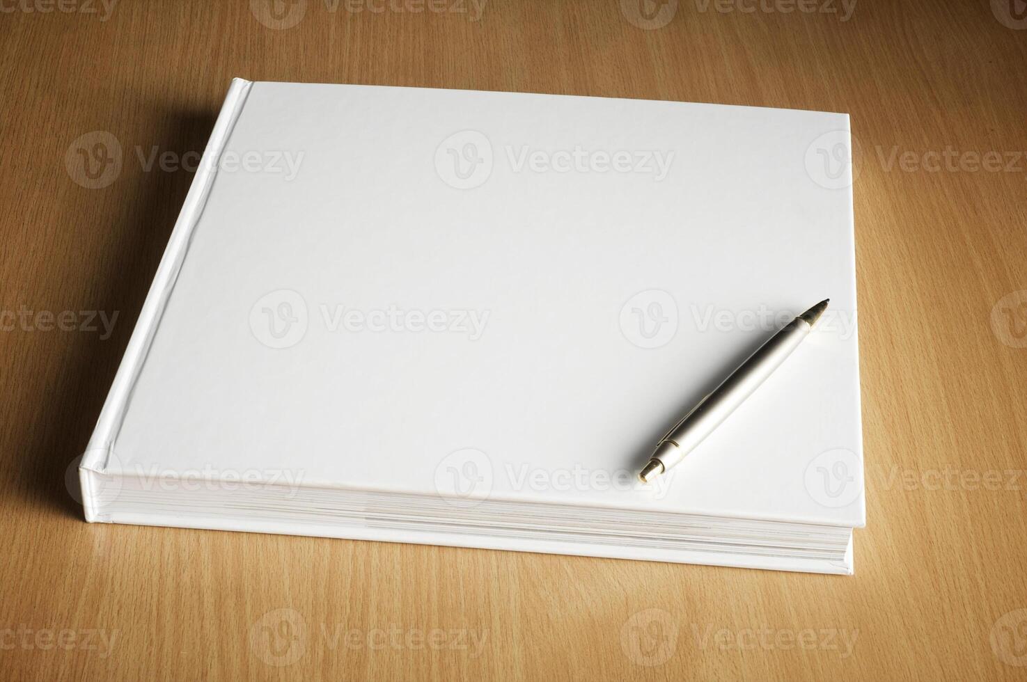 Mockup of the book photo