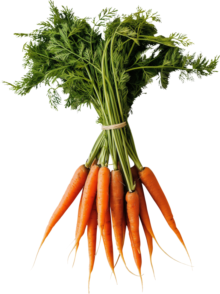 Fresh carrot with leaf isolated on a transparent background png