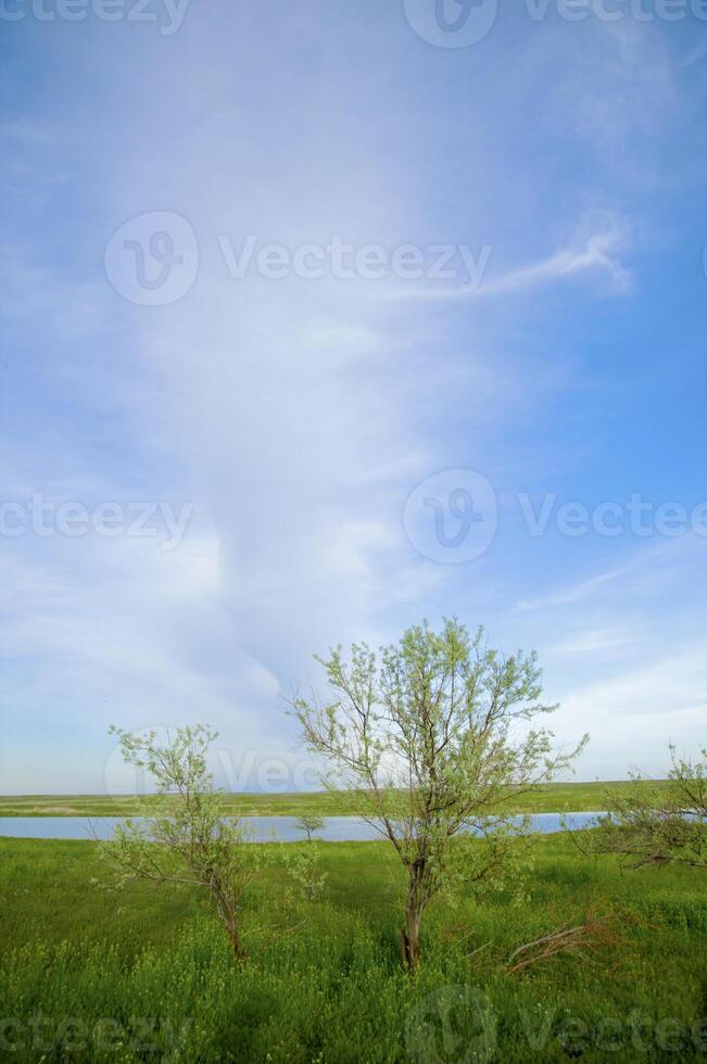 Small lake in spring steppe photo