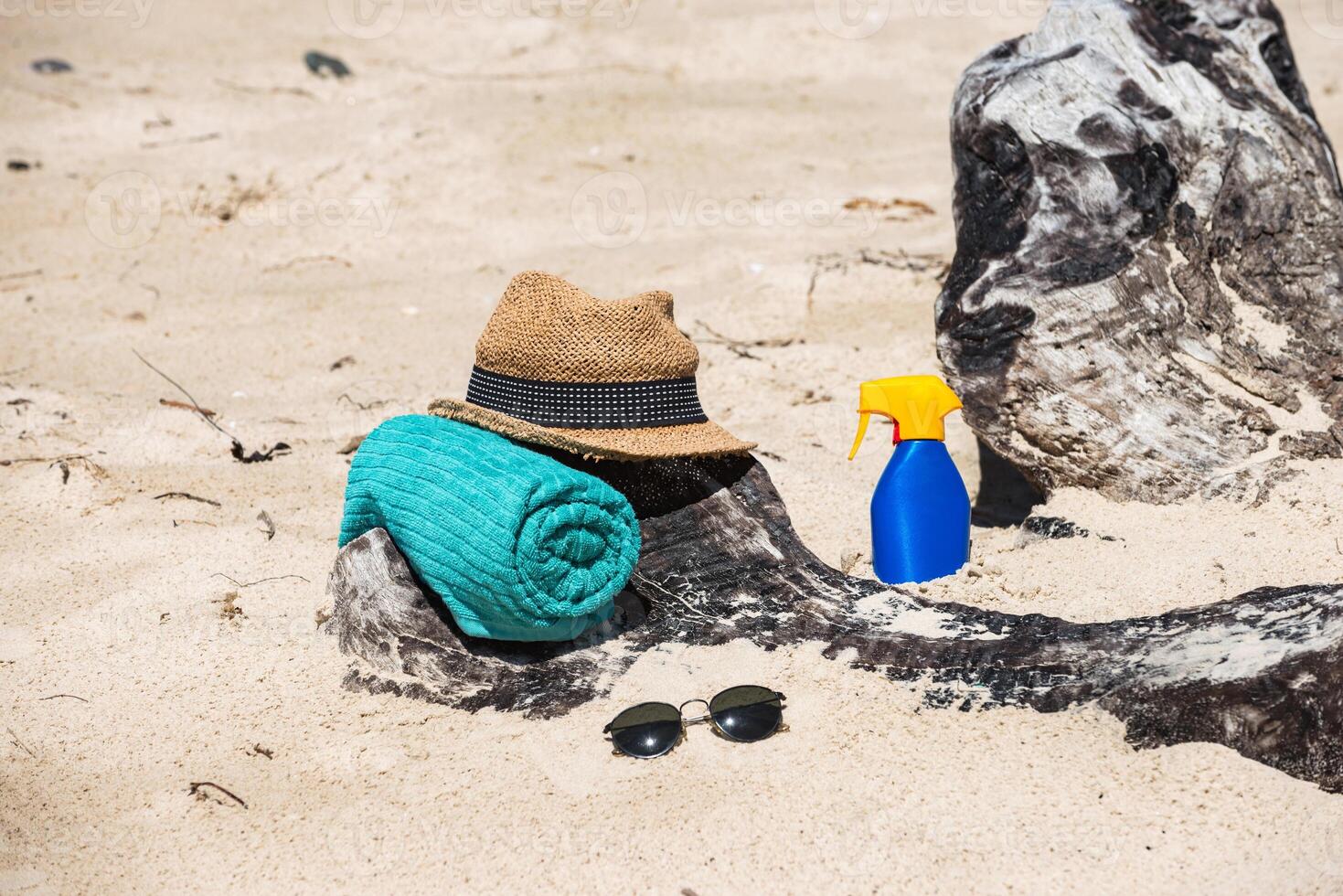 Set for a beach holiday on the shores of the ocean photo