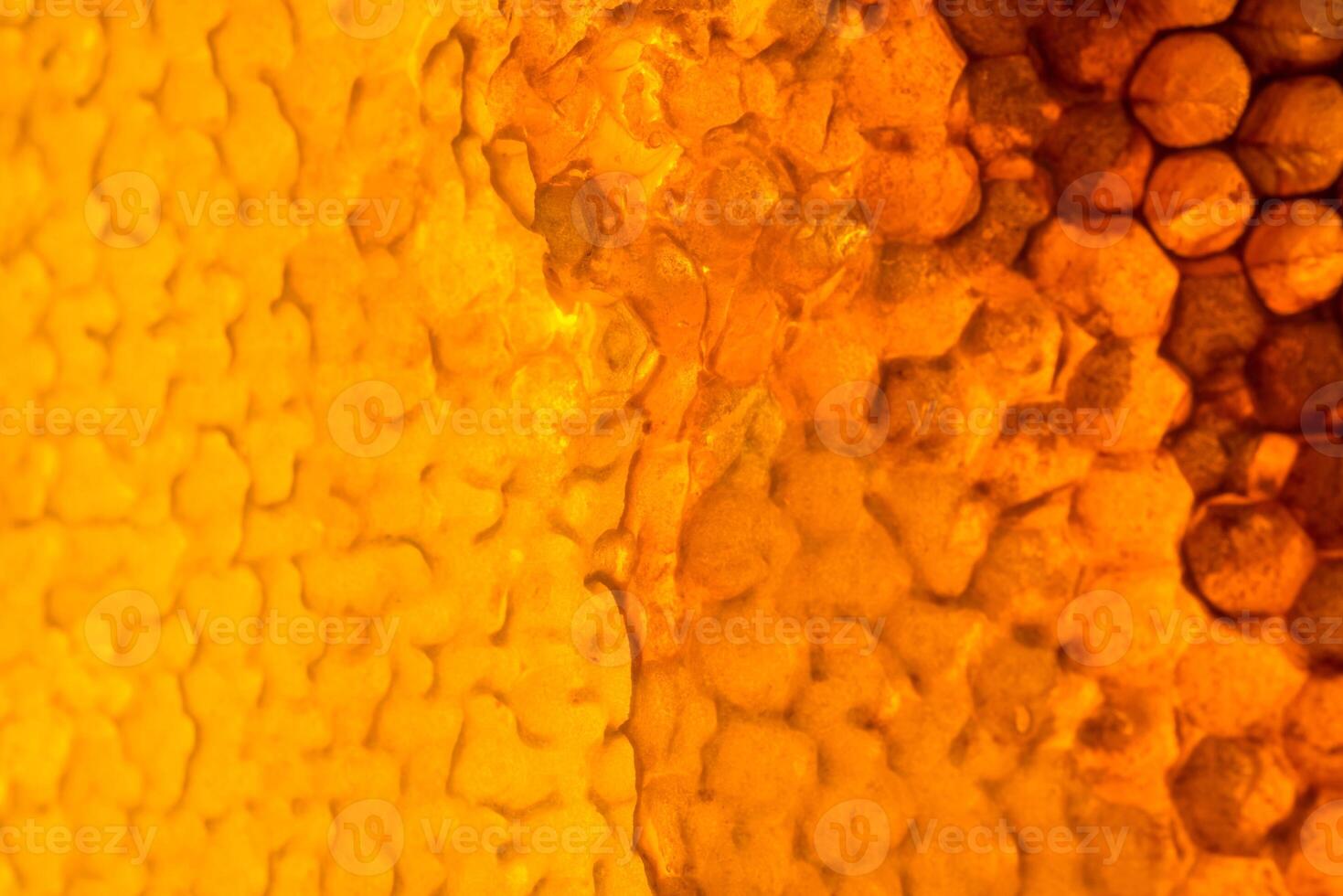 Studio Close-up of Honeycomb photo