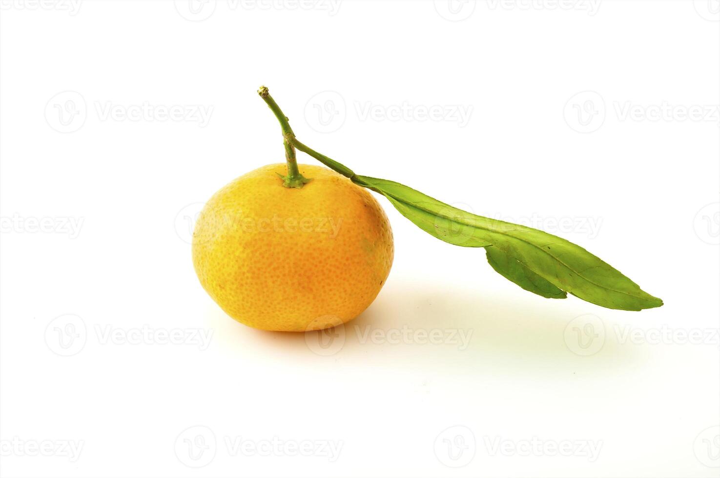 Ripe tangerines on the white background photo