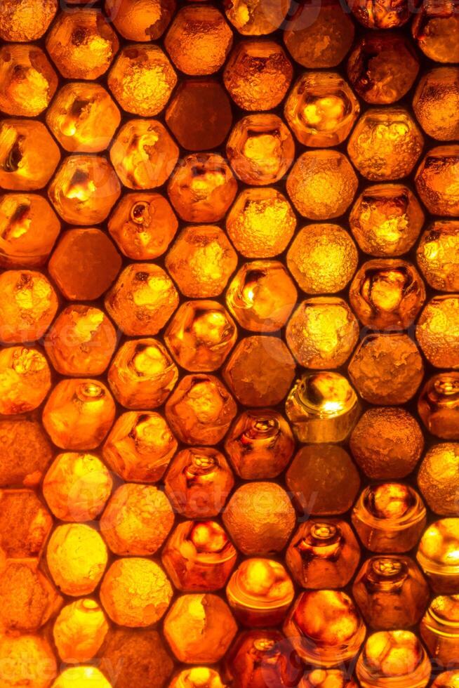 Close up studio shot of organic honey in a honey-comb. photo