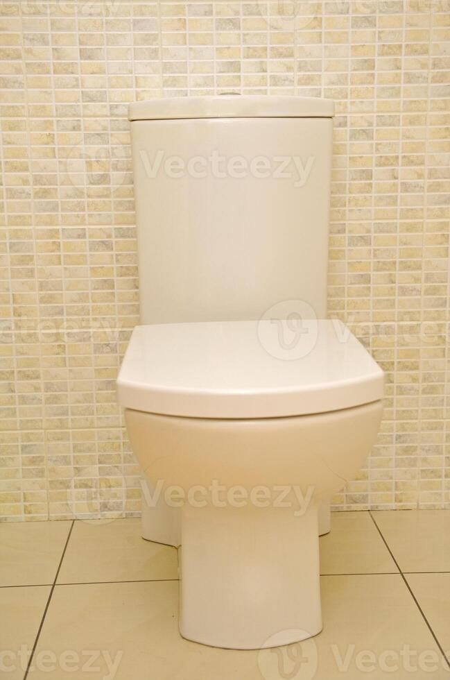 toilet on the floor in the interior photo