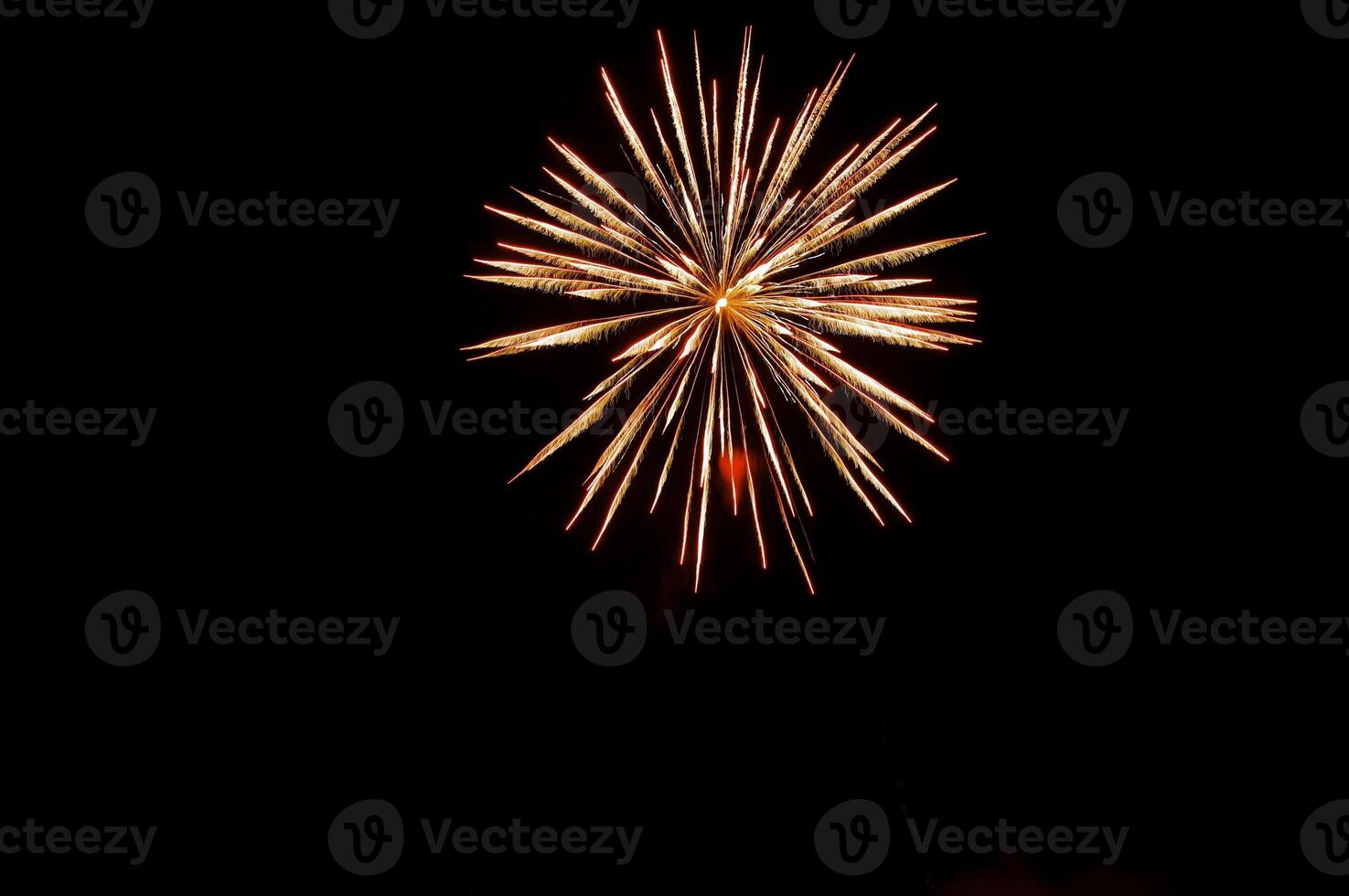 Fireworks in the night sky photo