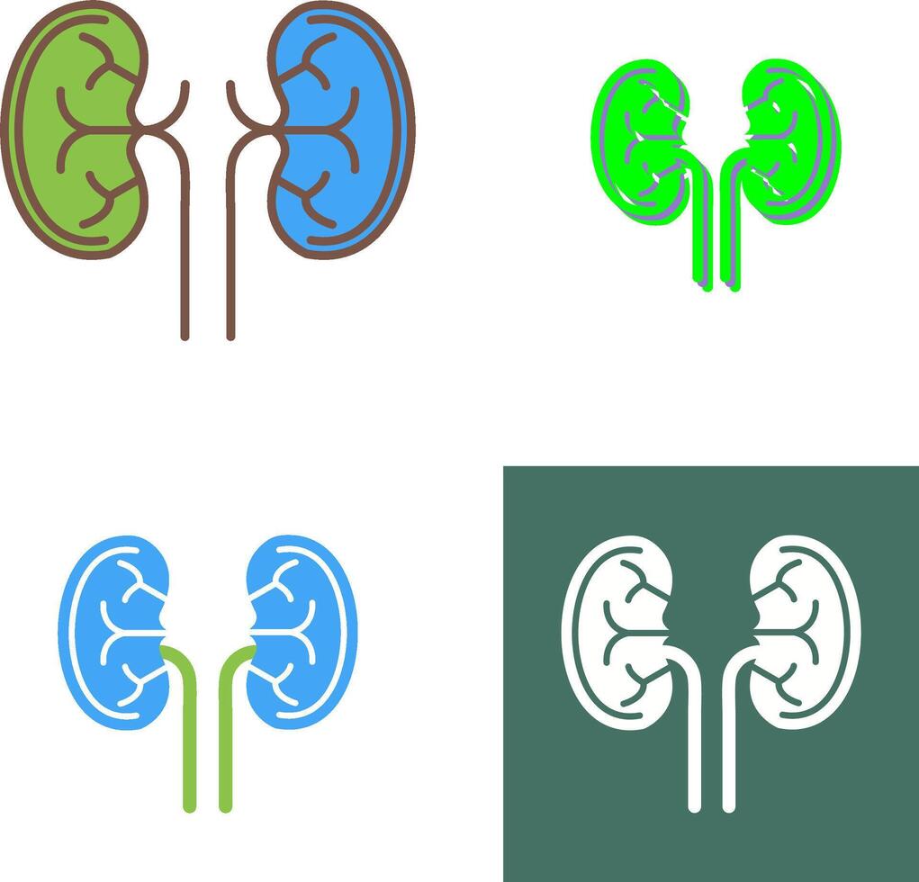 Kidney Icon Design vector