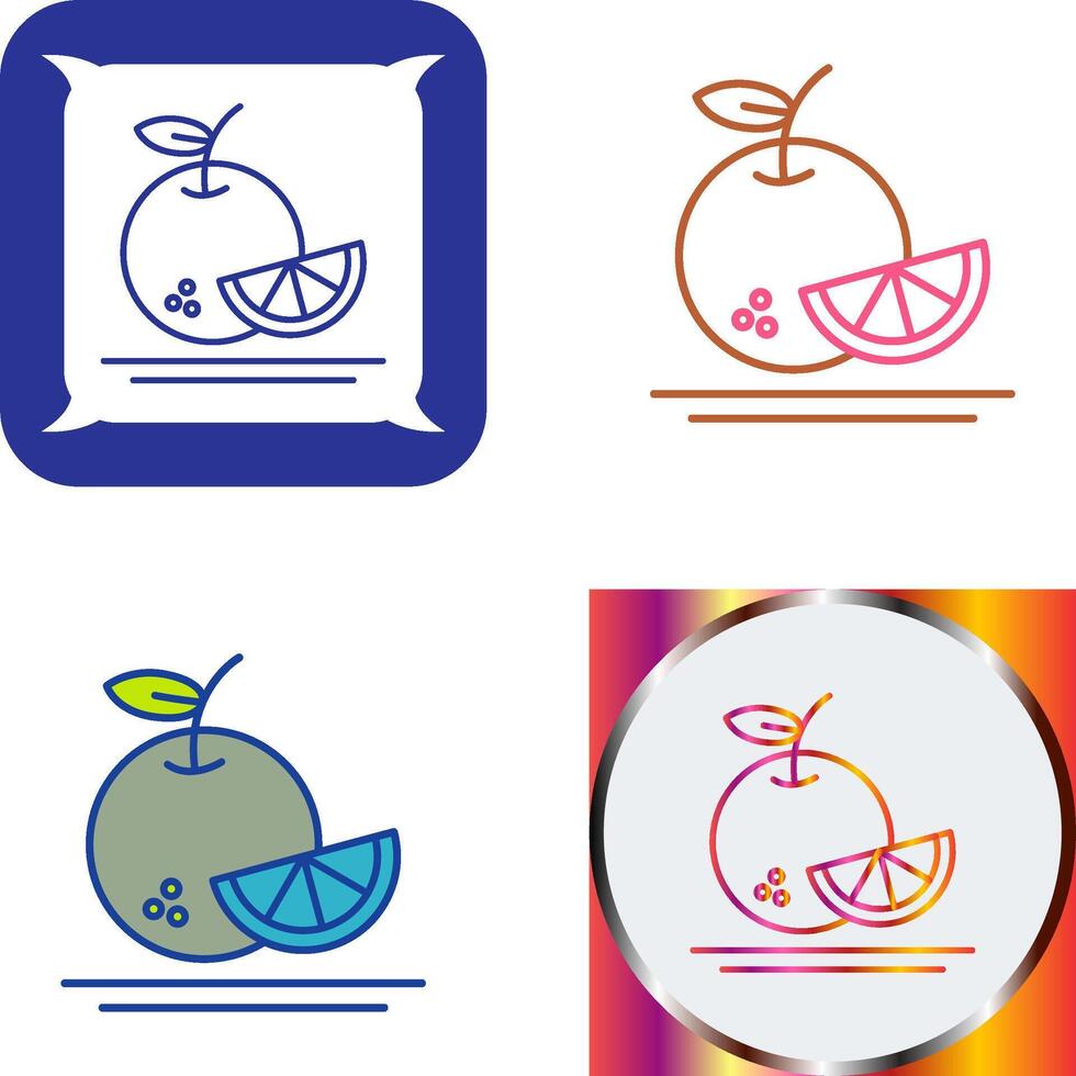 Orange Icon Design vector