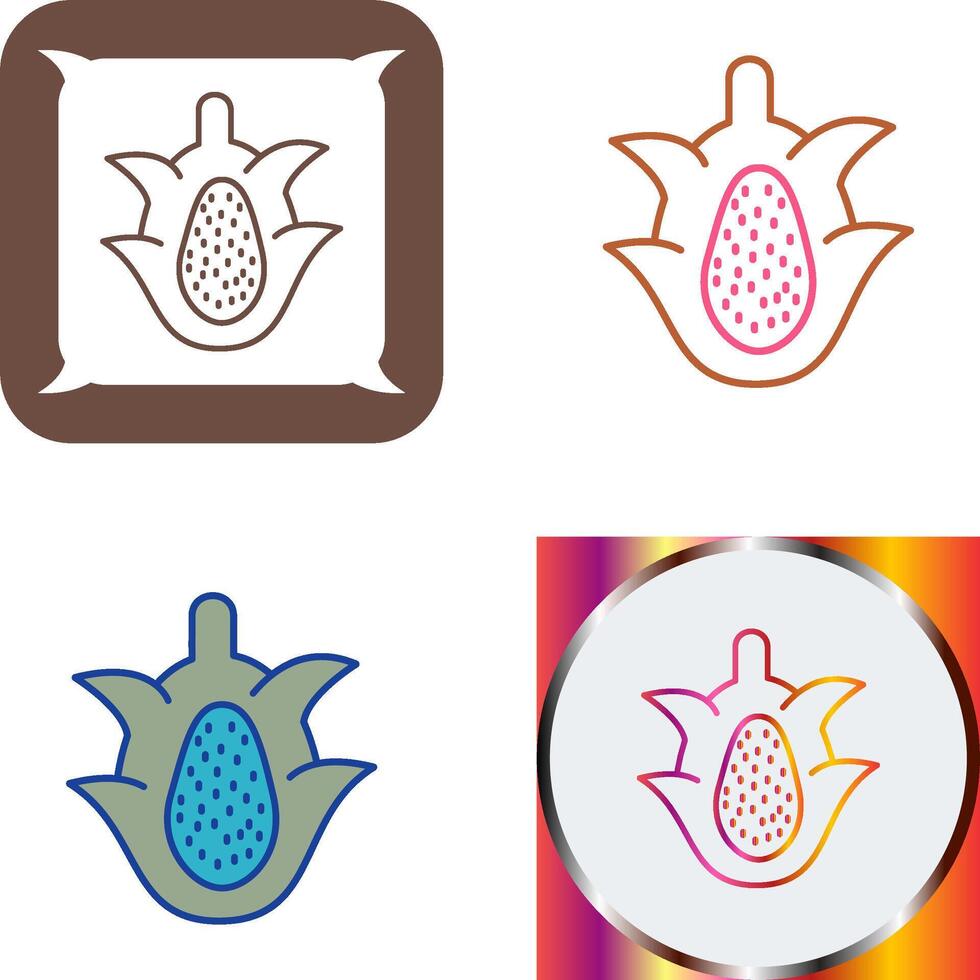 Dragon Fruit Icon Design vector