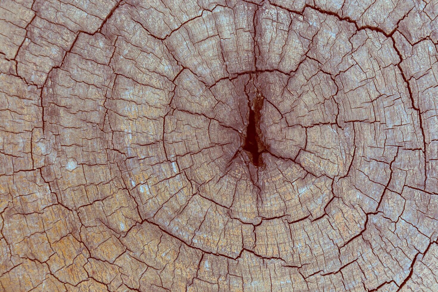 Old Wood texture photo