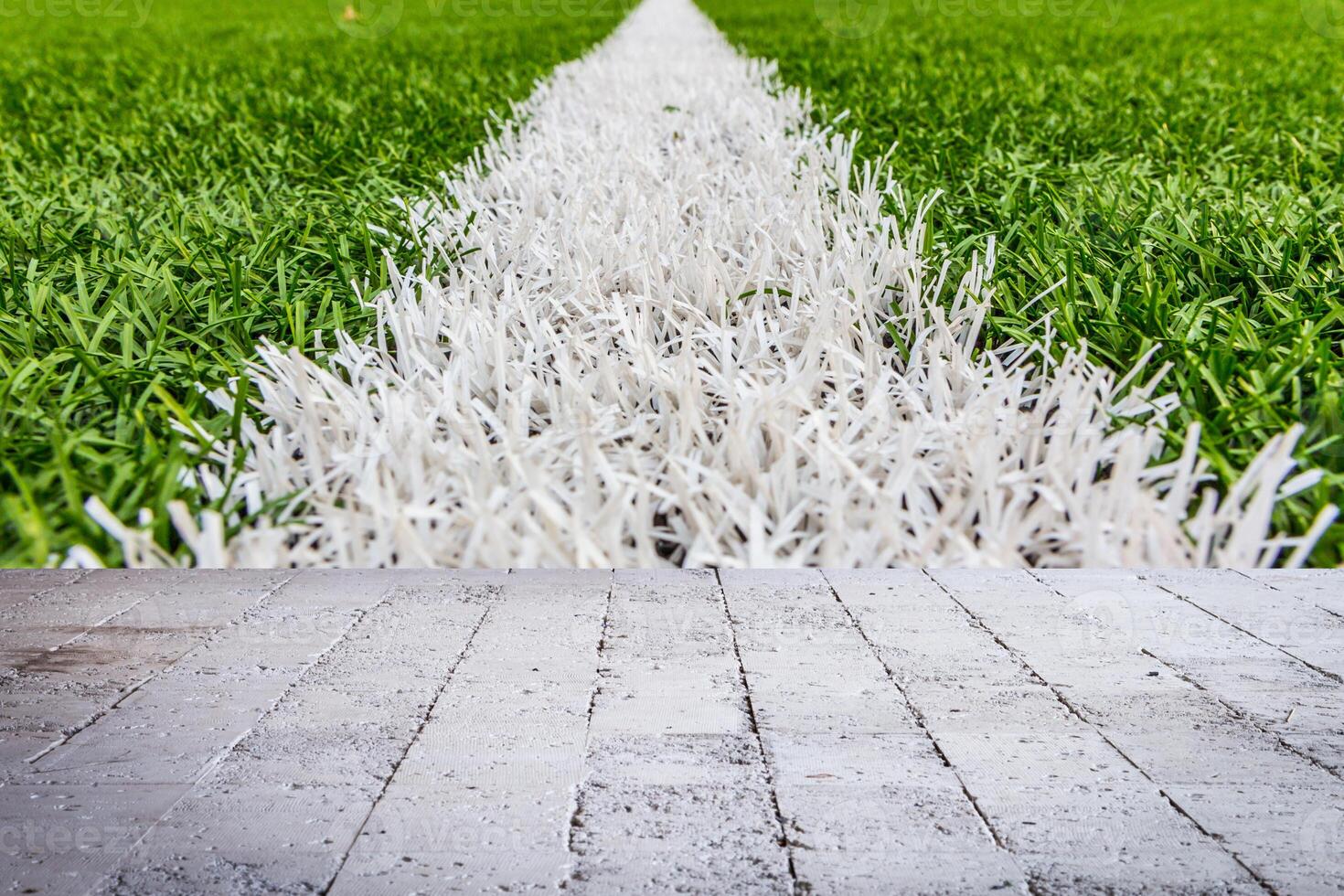 Artificial grass with white stripe photo