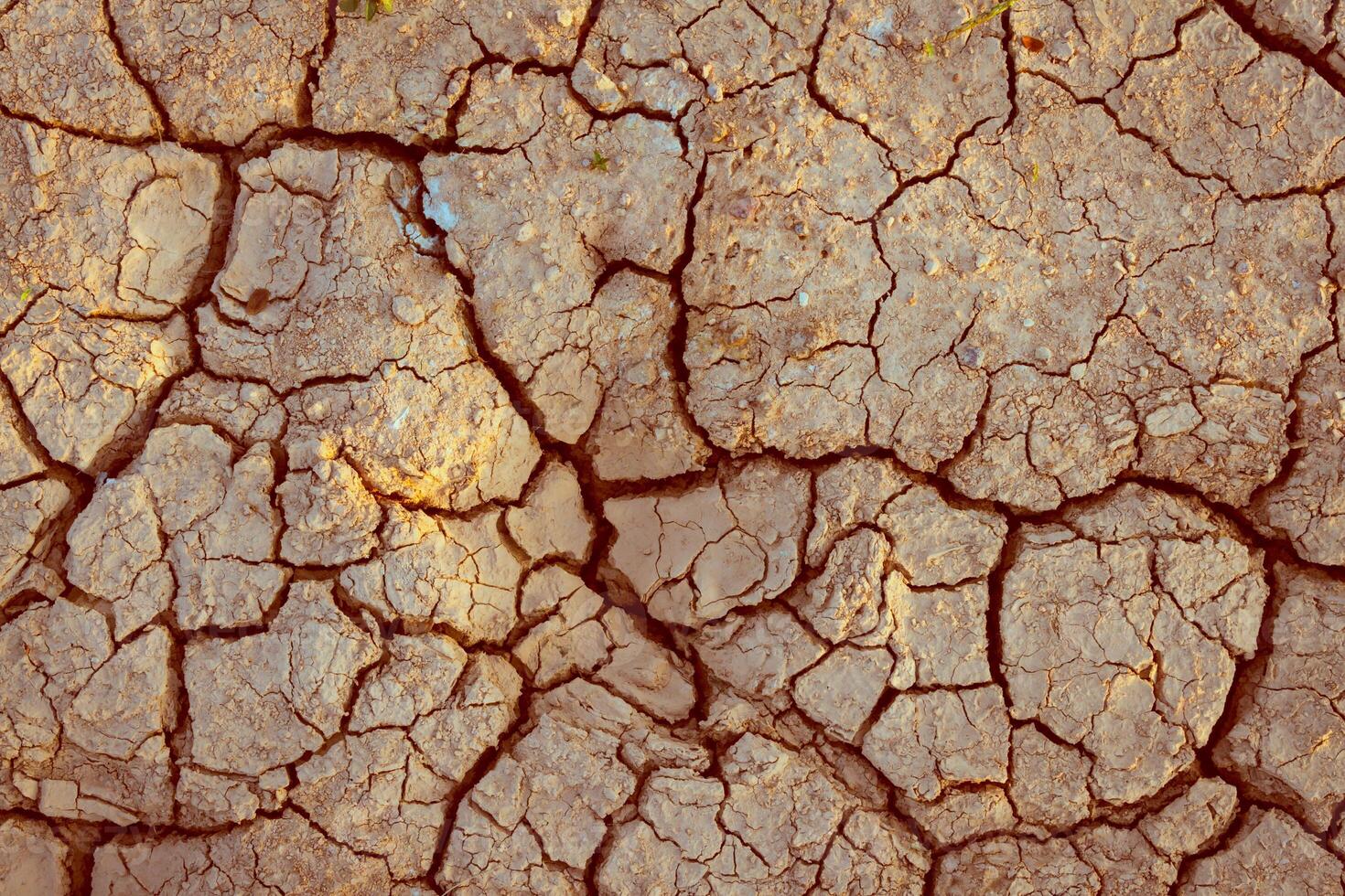 cracks in the ground photo
