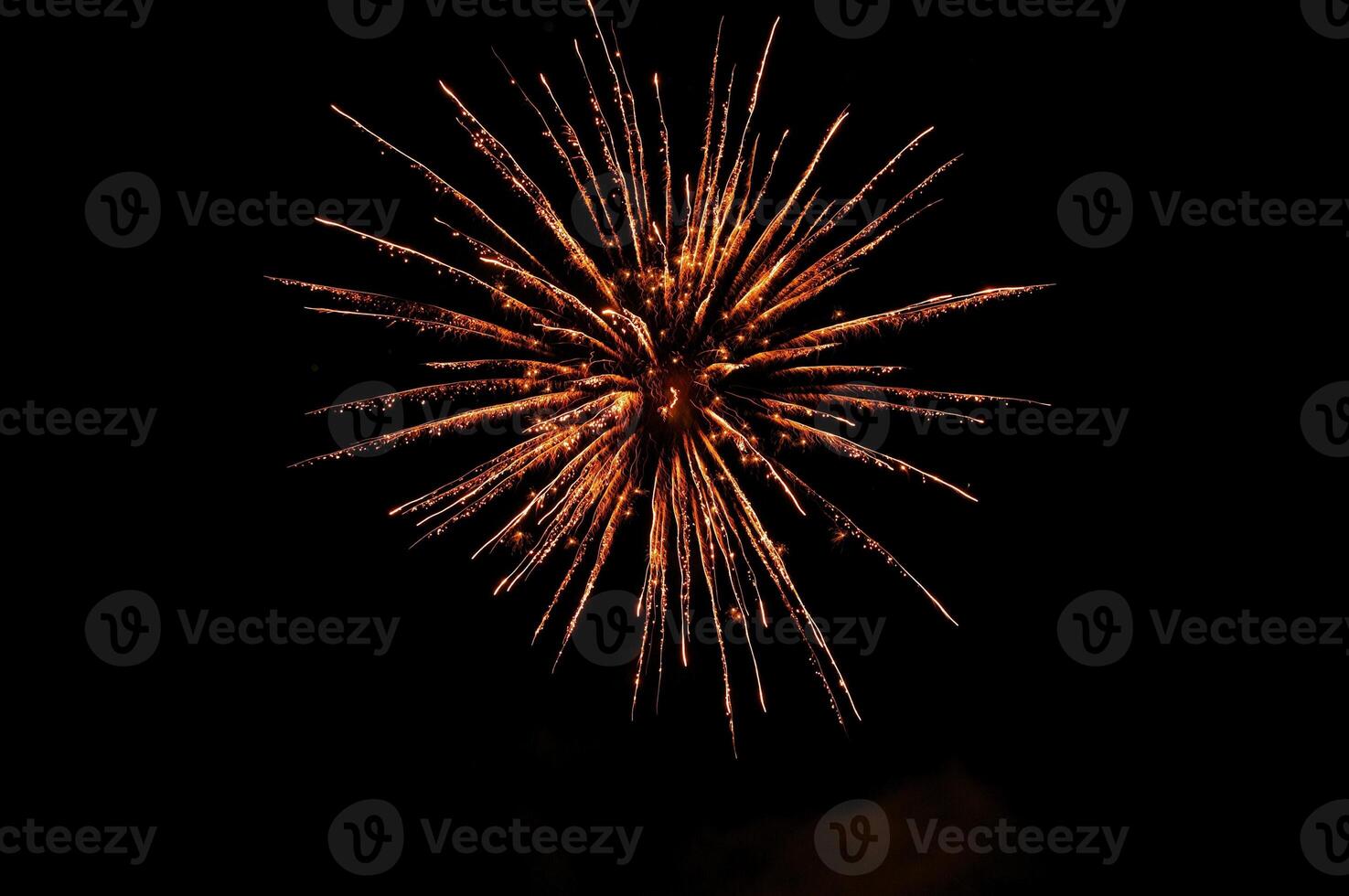 Fireworks in the night sky photo