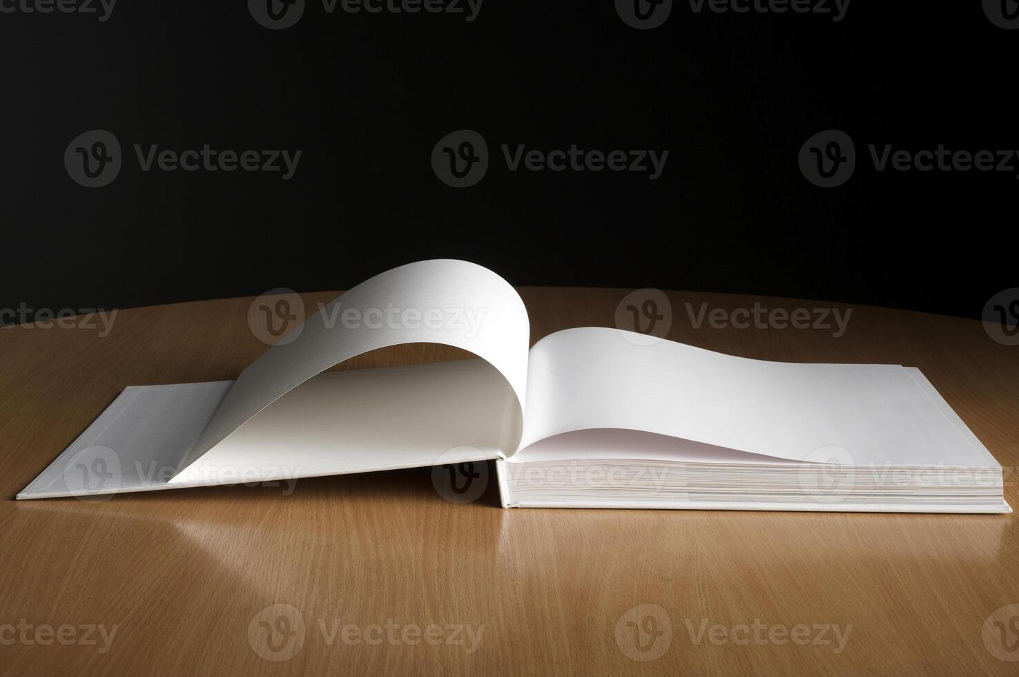 Mockup of the book photo