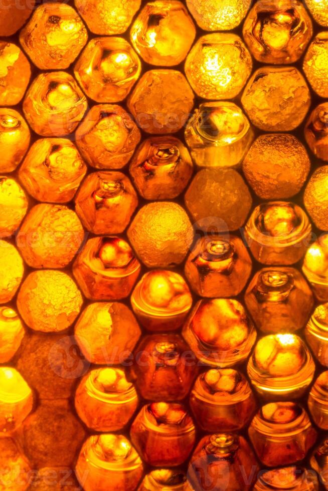 Close up studio shot of organic honey in a honey-comb. photo